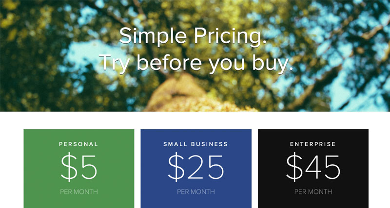 Screenshot of Pricing Table example layout